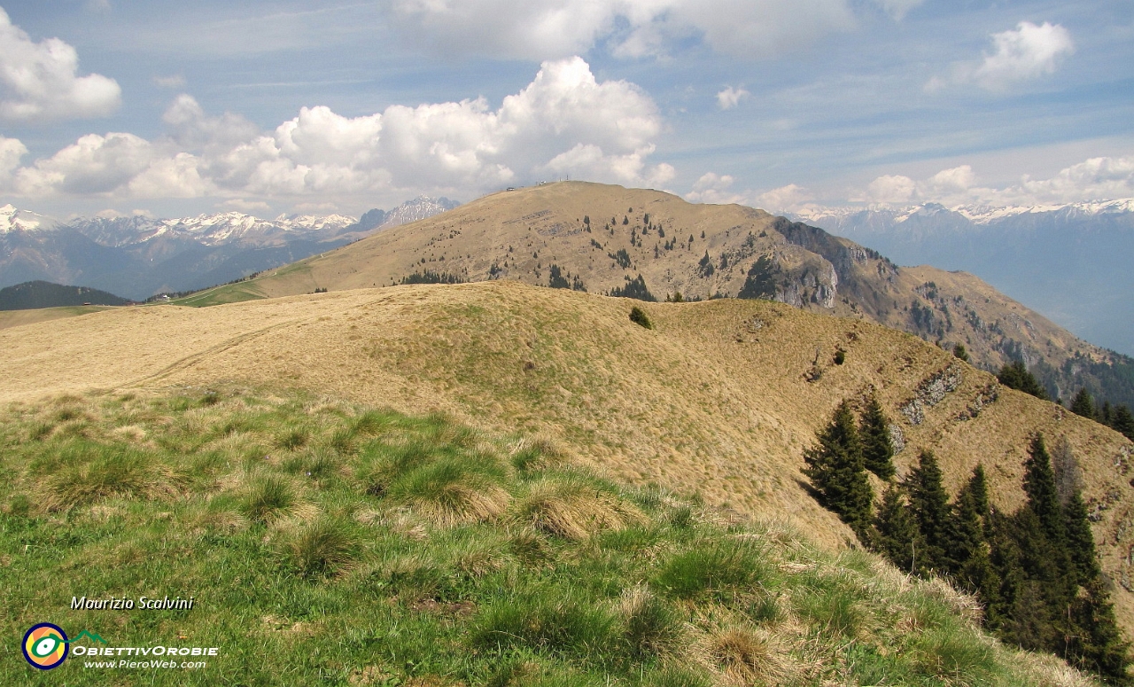 50 Panorama verso il Monte Pora..JPG